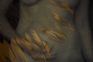 COUP DE VENT SUR LA SAINTE-VICTOIRE